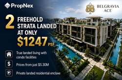 Belgravia Ace (D28), Terrace #609552311